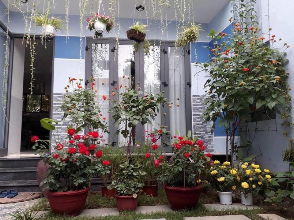 Cherry Garden Homestay Hoi An Luaran gambar