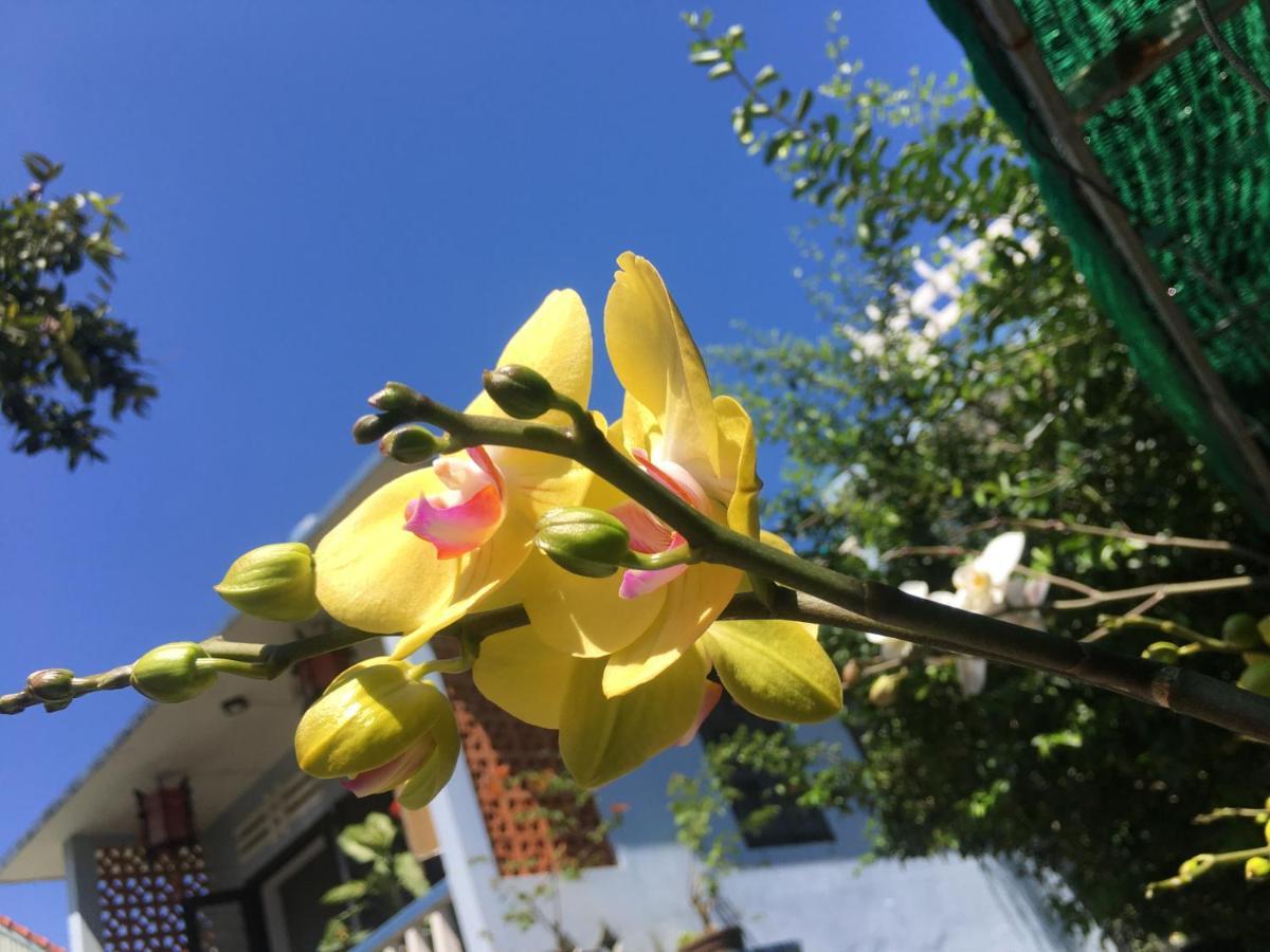 Cherry Garden Homestay Hoi An Luaran gambar