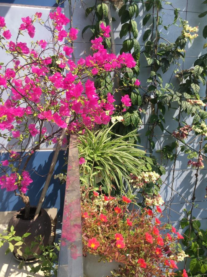 Cherry Garden Homestay Hoi An Luaran gambar