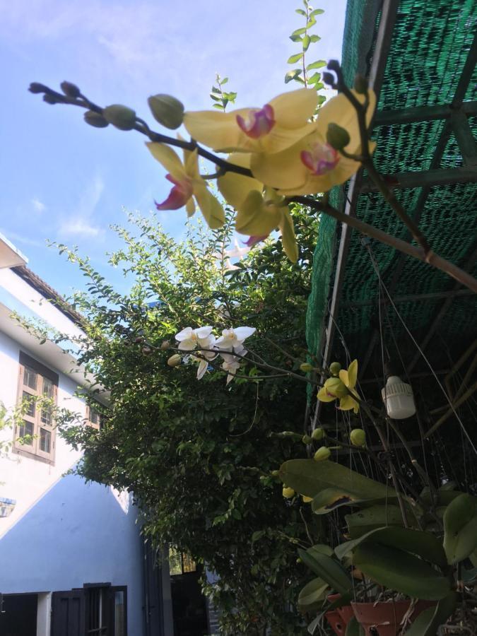 Cherry Garden Homestay Hoi An Luaran gambar