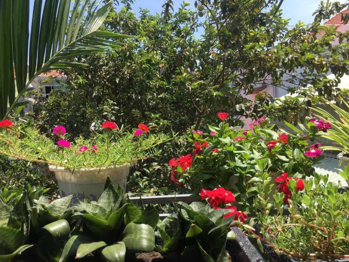 Cherry Garden Homestay Hoi An Luaran gambar