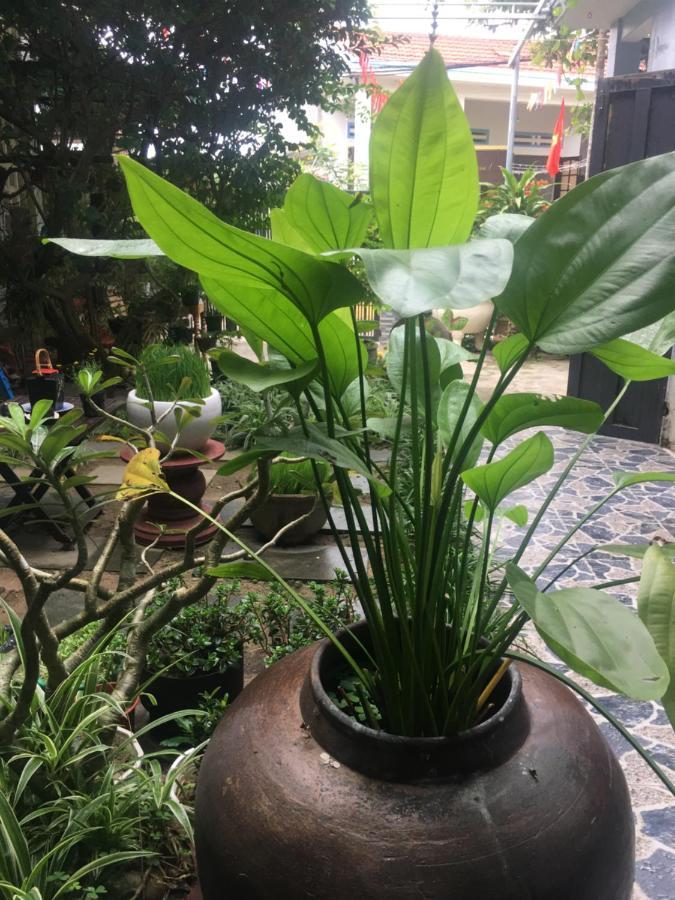 Cherry Garden Homestay Hoi An Luaran gambar