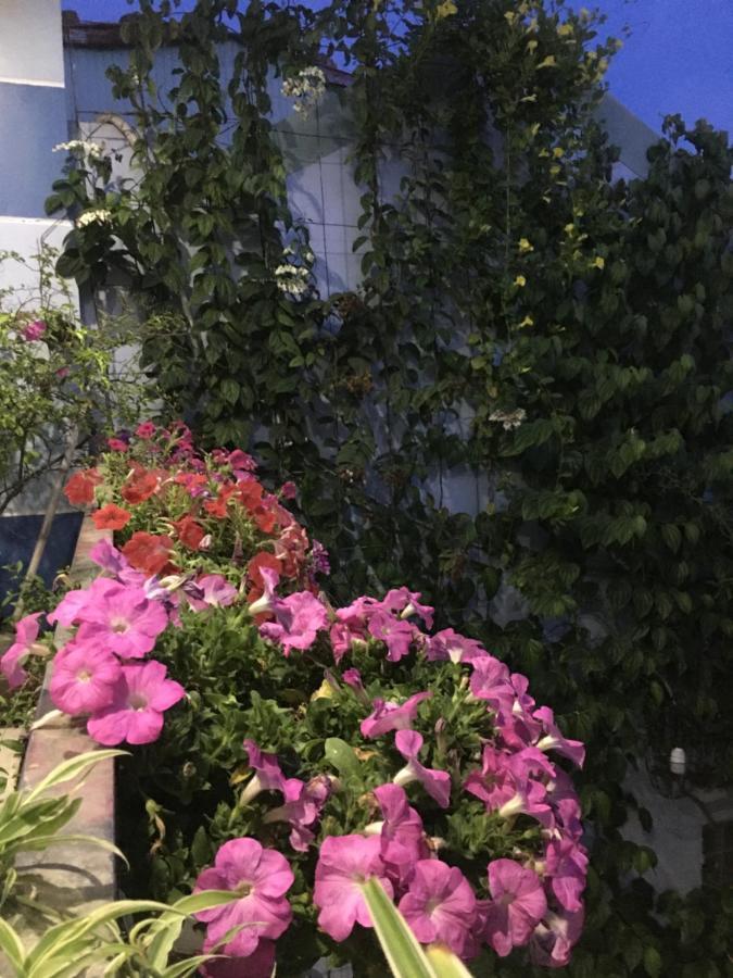 Cherry Garden Homestay Hoi An Luaran gambar