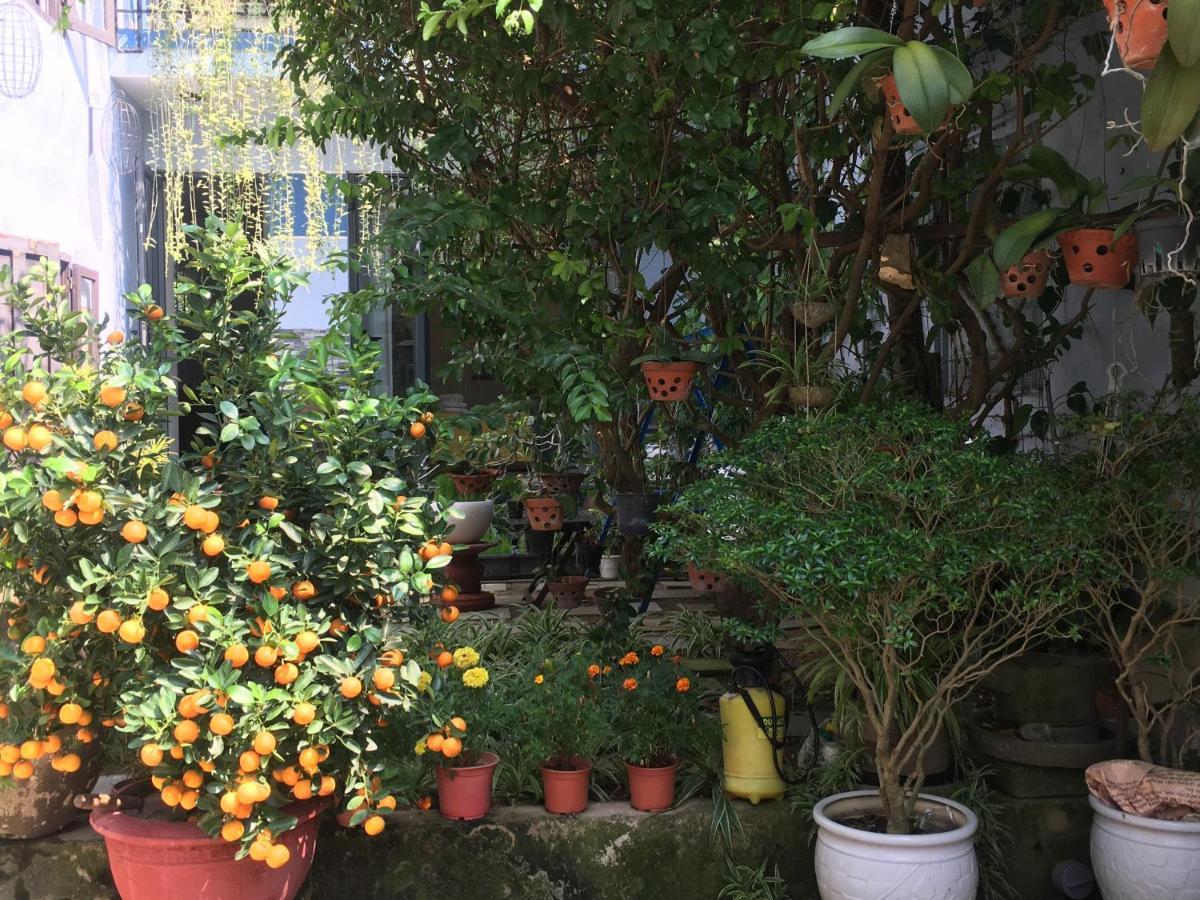 Cherry Garden Homestay Hoi An Luaran gambar