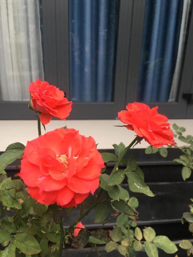 Cherry Garden Homestay Hoi An Luaran gambar